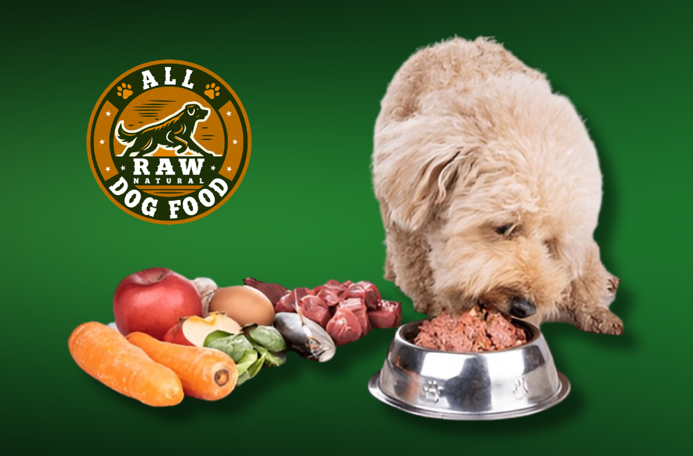 BARF Diet for Dogs – Cornwall Raw Feeding Made Simple