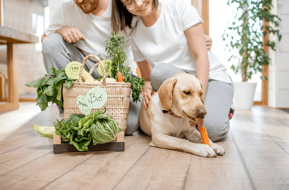 BARF Diet for Dogs – Cornwall Raw Feeding Made Simple
