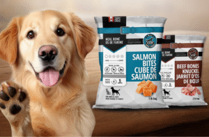 Raw Meat Diet for Dogs