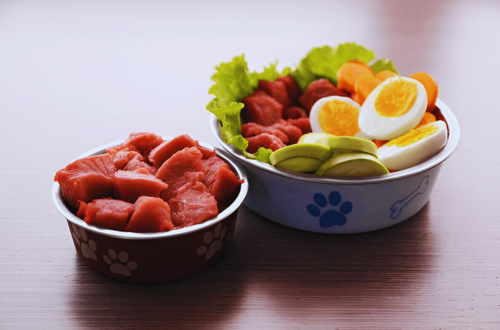 Raw Meat Diet for Dogs