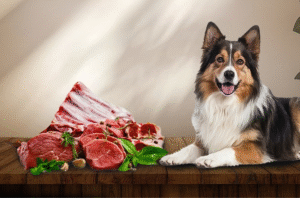 Buy Raw Dog Food – Cornwall