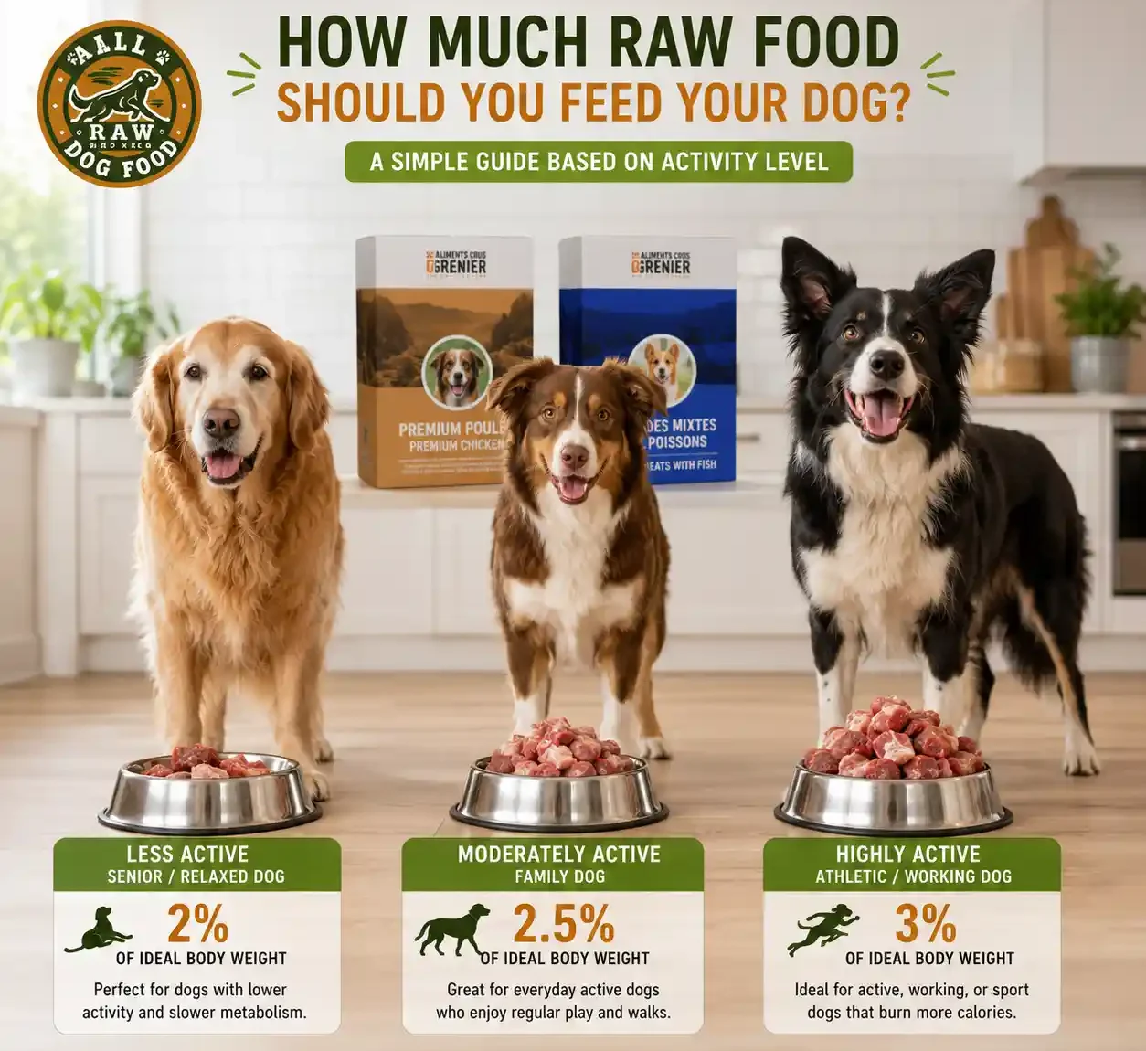 Different dog activity levels with varying raw food portion sizes