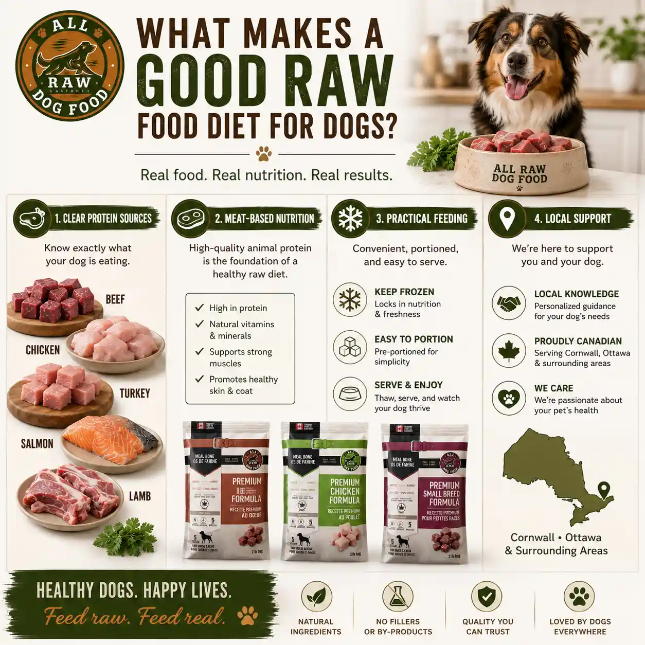 Key components of a balanced raw dog food diet with multiple protein options.