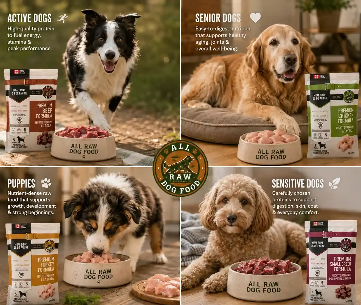 Different dogs enjoying raw feeding routines tailored to their individual needs.
